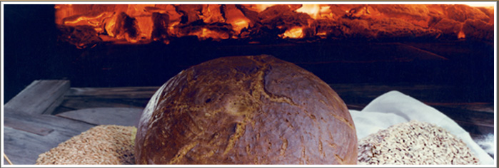 brot_banner.jpg