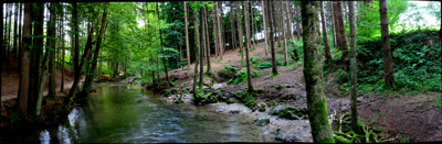 Zeller Ache